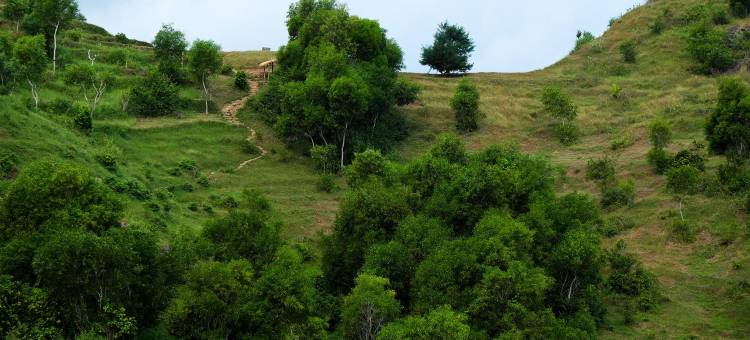 阿伦阿伦库杜斯附近的红多兹丝 2(RedDoorz Near Alun Alun Kudus 2)图片