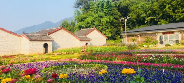 花晨月夕房东小慧公寓图片