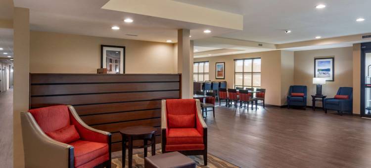 舒适酒店及套房(Comfort Inn & Suites)图片