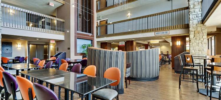 圣安东尼奥机场德鲁里广场酒店(Drury Plaza Hotel San Antonio Airport)图片