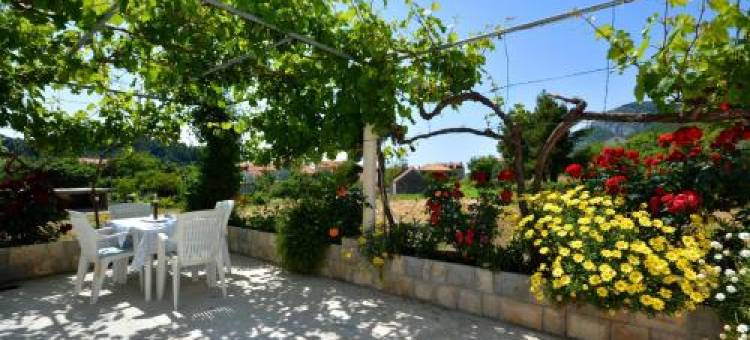 Apartments Bjanka图片