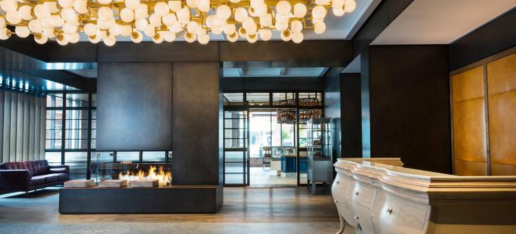 金普顿旅行者(Kimpton Journeyman)图片