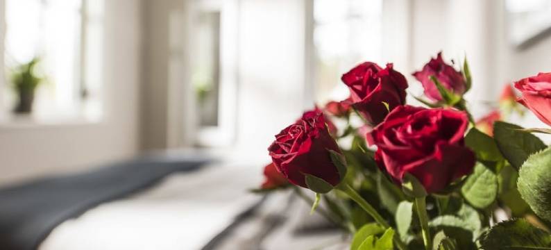 乌瑟多姆坎普霍夫伐米恩纳拉格酒店(Kamphof Usedom Ferienanlage)图片