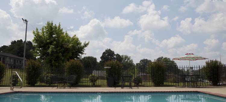 杰克逊红顶套房酒店(Red Roof Inn & Suites Jackson, TN)图片