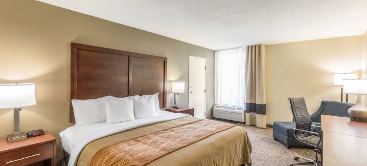 夏洛特机场上城舒适酒店(Comfort Inn Charlotte Airport Uptown)图片