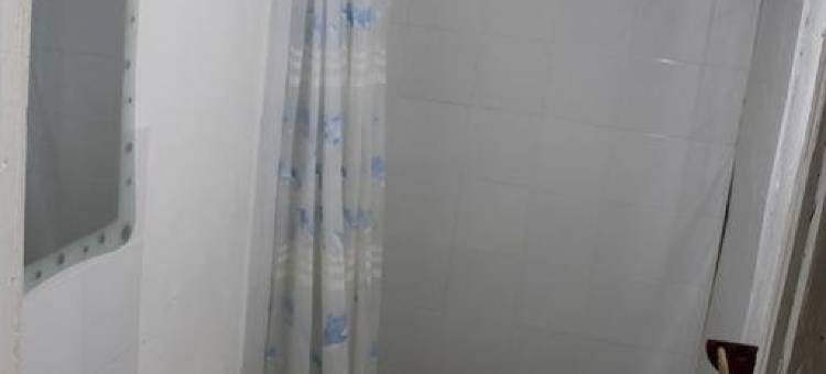 蕨树住宿加早餐旅馆(Fern Tree Bed and Breakfast)图片