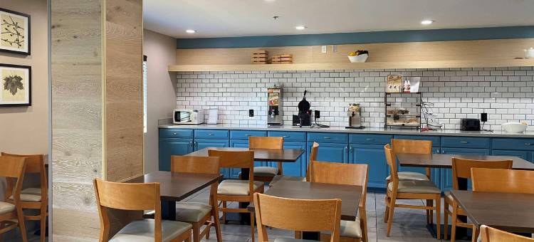 Wingate by Wyndham Chandler/Phoenix图片