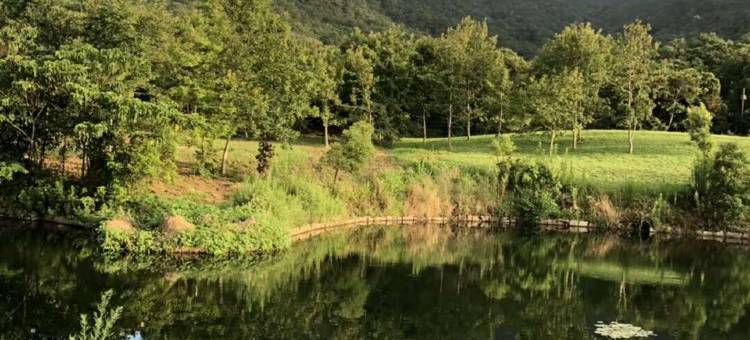 普陀山慈云居公寓(龙沙路分店)图片