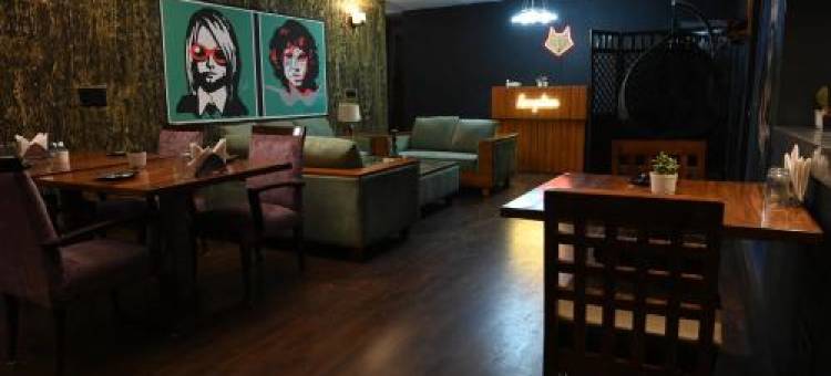 The Fox Retreat图片