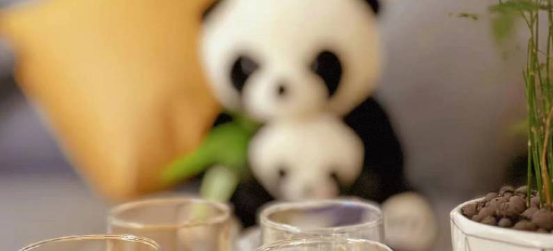 熊猫家园民宿(成都熊猫基地店)图片