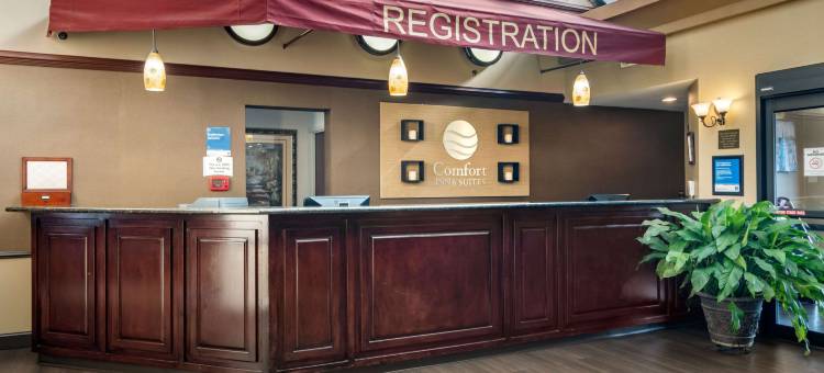 萨沃尼舒适套房酒店-秀格尔洛弗(Comfort Inn & Suites Suwanee - Sugarloaf)图片