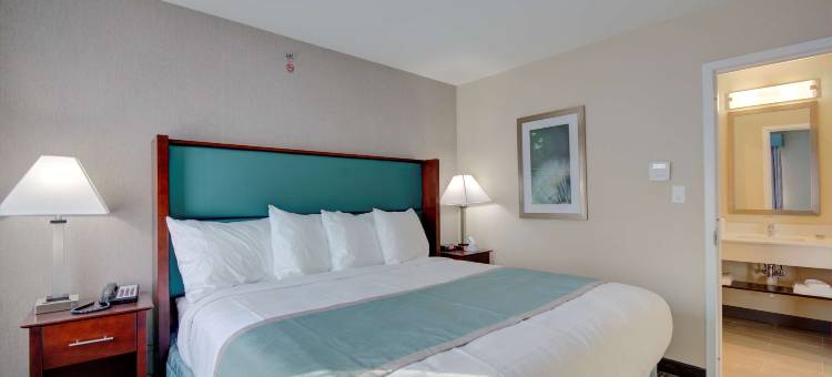 贝斯特韦斯特罕布什尔套房酒店(Best Western Hampshire Inn  Suites)图片