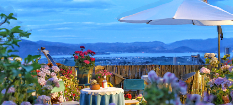 大理古城山山有木国学花园民宿图片