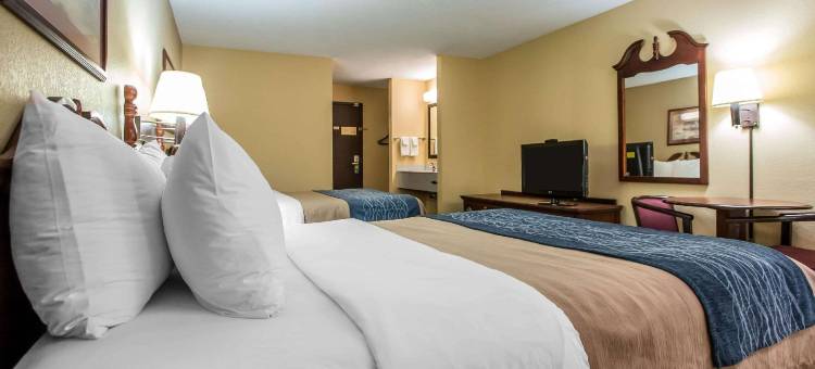 门多塔凯艺套房酒店 - 近 I-39(Quality Inn & Suites Mendota Near I-39)图片