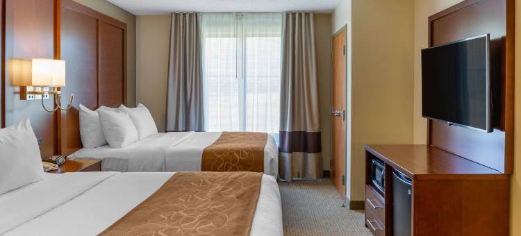 阿米什乡村舒适套房酒店(Comfort Suites Lancaster Amish Country)图片