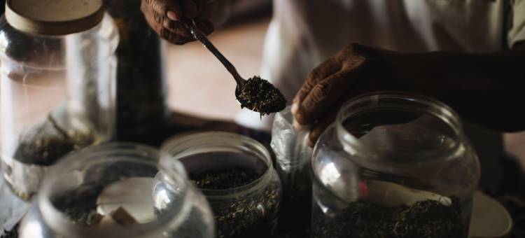 利马圣罗莎农场(Hacienda Santa Rosa de Lima by IHG)图片