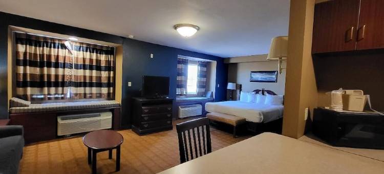 温德姆斯塔克维尔麦客达套房酒店(Starkville Inn & Suites)图片