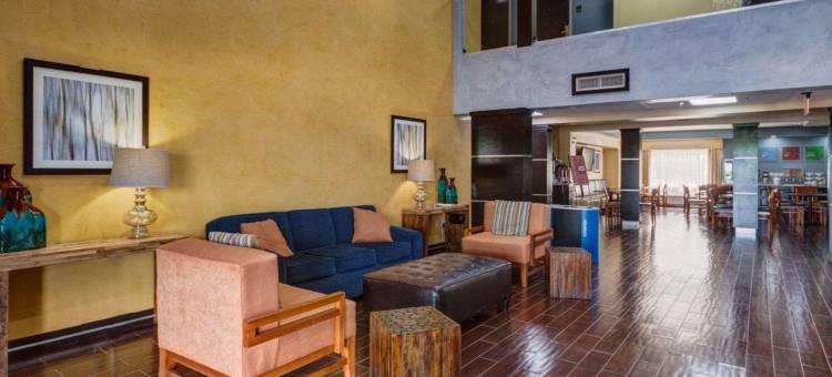 雷哈伯德湖舒适套房酒店(Comfort Suites Lake Ray Hubbard)图片