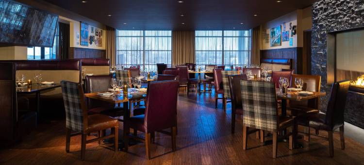 底特律诺维巴朗纳特万丽酒店(The Baronette Renaissance Detroit-Novi Hotel)图片