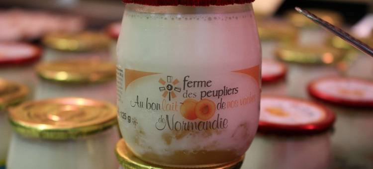 拉罗什续尔雍中心火车站康铂酒店(Campanile la Roche Sur Yon Centre - Gare)图片