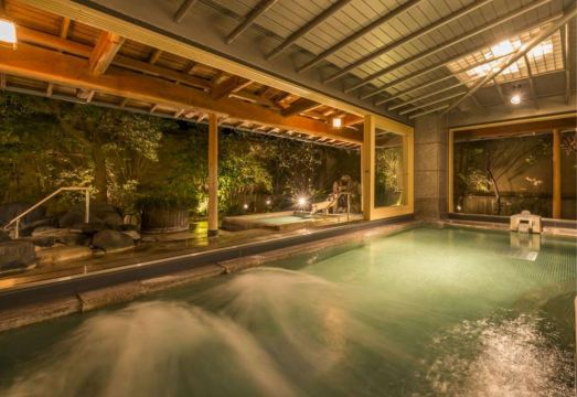 Ryokan Tokiichiyu Hotel Overview