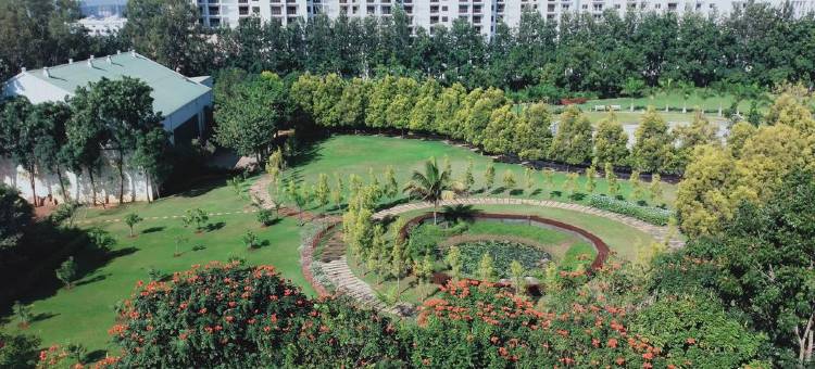 黄金伊万娜酒店(Royal Ace Luxur)图片