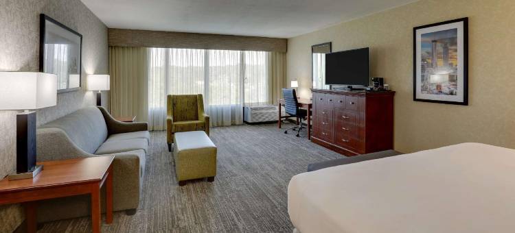 亚特兰大玛丽埃塔德鲁里套房酒店(Drury Inn & Suites Atlanta Marietta)图片
