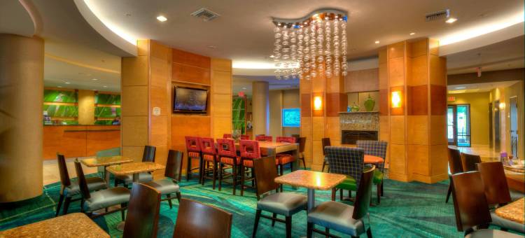 坦帕布兰登万豪SpringHill酒店(SpringHill Suites Tampa Brandon)图片