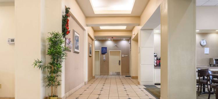 纽黑文拉昆塔温德姆套房酒店(La Quinta Inn & Suites by Wyndham New Haven)图片