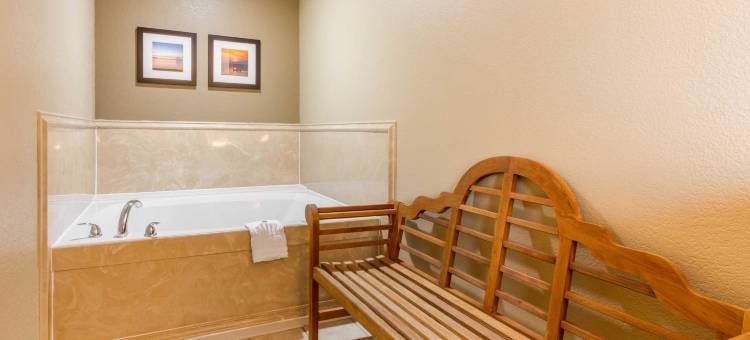 布莱恩-本顿特舒适套房酒店(Comfort Inn & Suites Bryant - Benton)图片