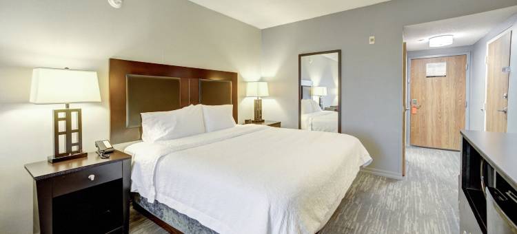 休斯顿/清湖-美国宇航局区欢朋酒店及套房(Hampton Inn & Suites Houston/Clear Lake-NASA Area)图片