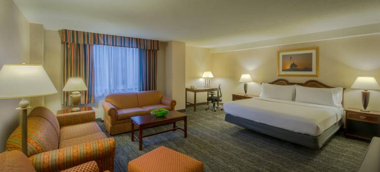 Holiday Inn 阿灵顿的AT巴尔斯顿(Holiday Inn Arlington at Ballston)图片