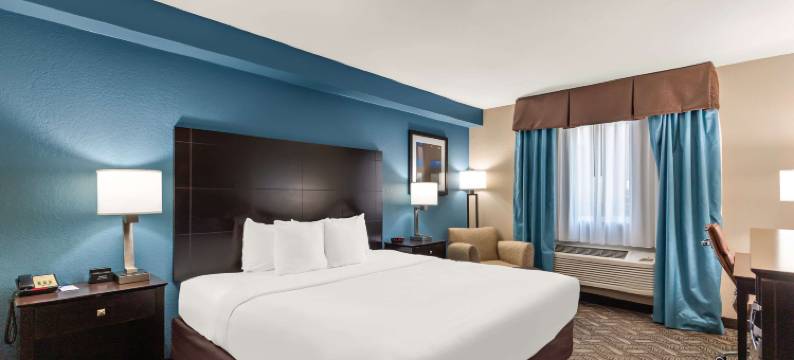 斯普林菲尔德I-55舒适套房酒店(Comfort Inn & Suites Springfield I-55)图片