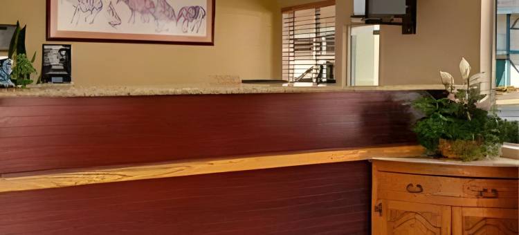凤凰城北黑峡谷高速公路骑士酒店(Knights Inn Phoenix at N Black Canyon Hwy)图片