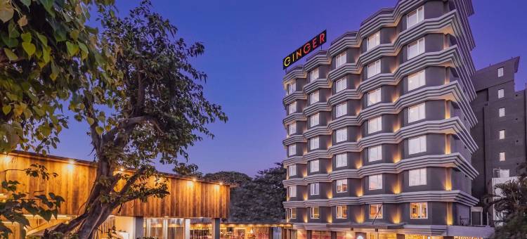 Ginger Bharuch图片