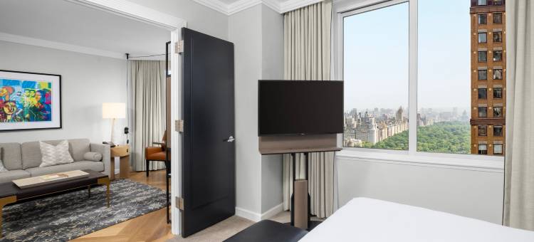 曼哈顿中城豪华精选酒店(The Luxury Collection Hotel Manhattan Midtown)图片