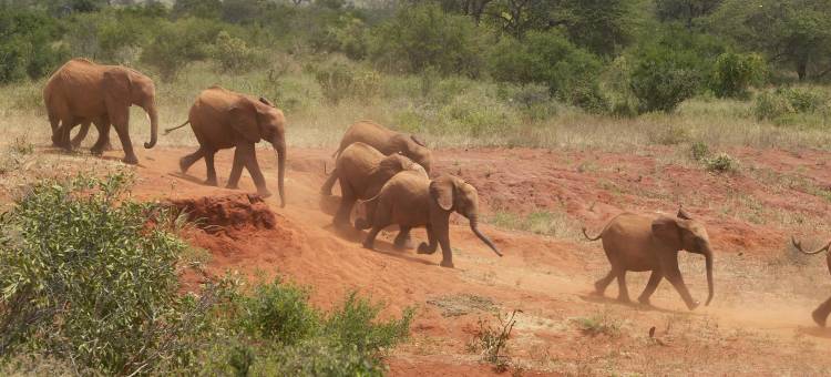 内罗毕机场皇冠假日酒店(Crowne Plaza Nairobi Airport)图片
