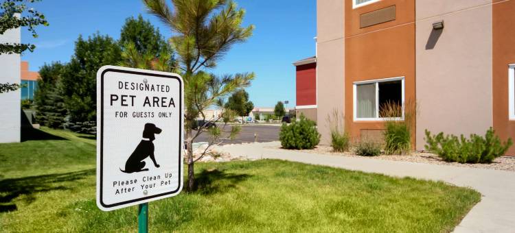 俾斯麦I-94舒眠套房酒店(Sleep Inn & Suites Bismarck I-94)图片