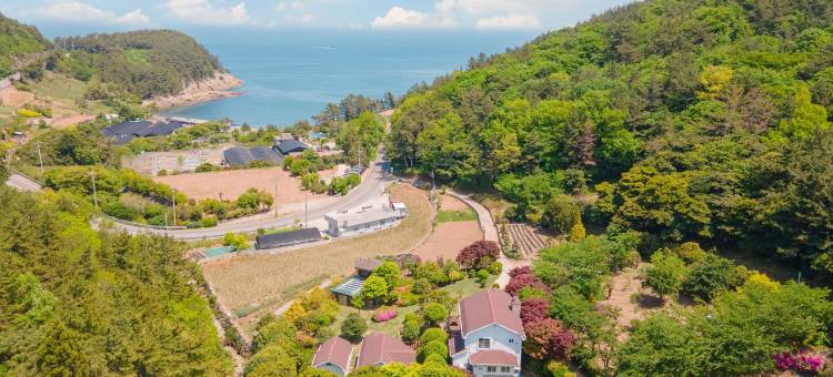 丽水树下鸟巢旅馆(Yeosu Supsokae Pension)图片