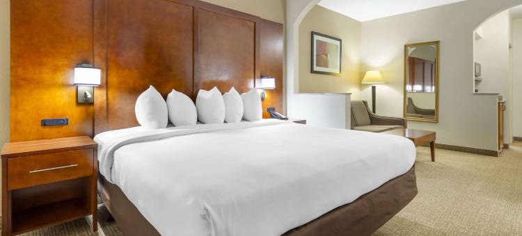 里奇伍德农场舒适套房酒店(Comfort Suites Inn at Ridgewood Farm)图片