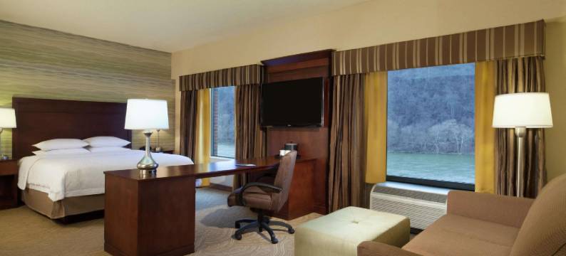 匹兹堡/水滨 - 西霍姆斯戴德希尔顿欢朋套房酒店(Hampton Inn & Suites Pittsburgh/Waterfront-West Homestead)图片