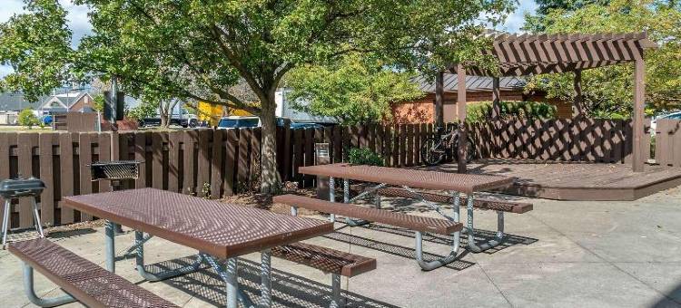 底特律沃伦美国长住精选套房酒店(Extended Stay America Select Suites - Detroit - Warren)图片