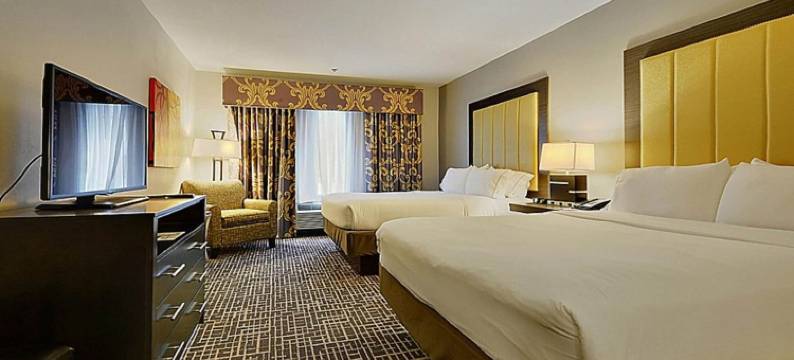 智选假日套房酒店冈萨雷斯(Holiday Inn Express & Suites GONZALES by IHG)图片