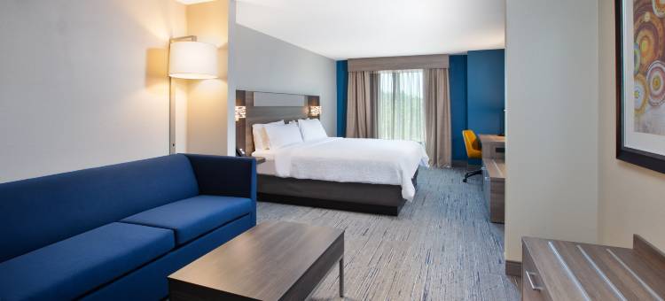 I-26和Us 29韦斯特盖特商场智选假日套房酒店(Holiday Inn Express & Suites I-26 & US 29 at Westgate Mall)图片