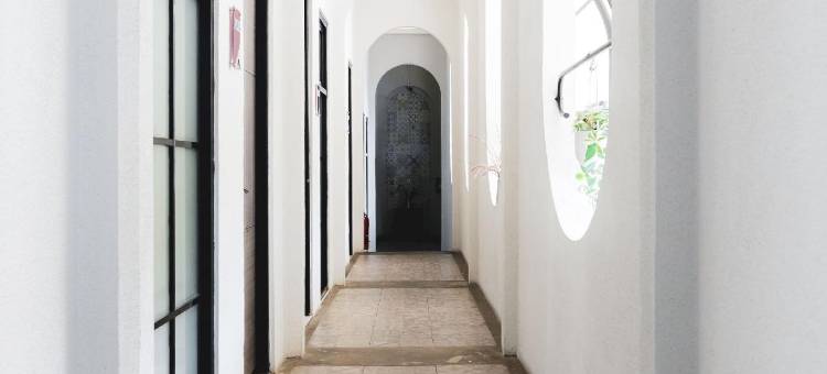 提贝拉莫里会泽(Tibera Morie Huize)图片