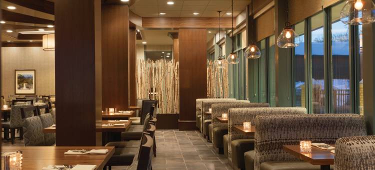 萨拉托加泉安泊套房酒店(Embassy Suites by Hilton Saratoga Springs)图片
