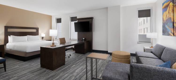 欢朋套房酒店及丹佛市区会议中心(Hampton Inn & Suites Denver/Downtown-Convention Center)图片
