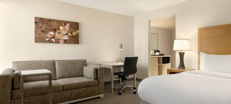 丹佛国际机场希尔顿大使套房酒店(Embassy Suites by Hilton Denver International Airport)图片