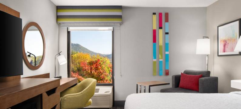 欢朋酒店罗阿诺克-霍林斯-I-81(Hampton Inn Roanoke/Hollins-I-81)图片