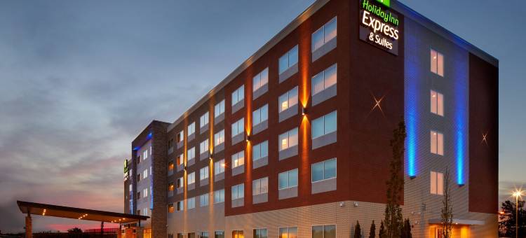 辛辛那提北自由路智选假日套房酒店(Holiday Inn Express & Suites Cincinnati North - Liberty Way)图片